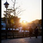 朝の散歩