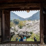 国分寺の山門