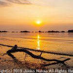 白石島　流木と夕日